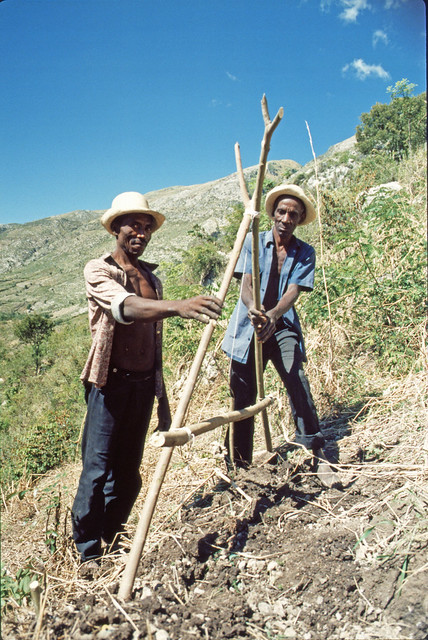 Soil Conservation in Ka Eli Apr 1988 3