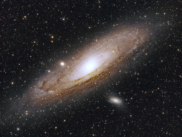 Arizona Andromeda