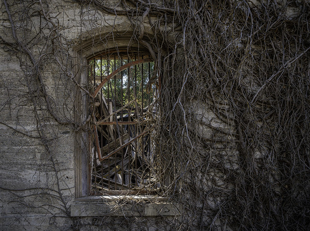 Abandoned Wall and Window