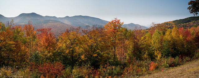 Scenic fall foliage from Hancock scenic overlook.