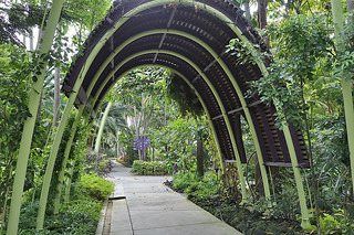 Layover in SG -  Gardens By The Bay Secret Life of Trees path