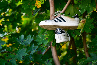 Shoes of tree | Henry Söderlund | Flickr