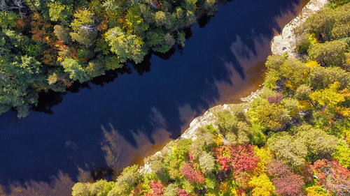 above aerialview autumn autumnleafcolor beautyinnature borealforest bright brightlylit bush canada directlyabove directlybelow drone dronepointofview forest highangleview landscape leaf lushfoliage mapletree quebec nature nopeople nonurban october orangecolor outdoorpoursuit outdoors red river riverbank scenics season stream sunlight tree vibrantcolor viewpoint wetland shadow wideangle yellow