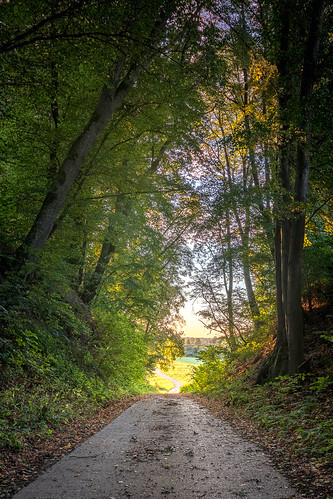 giggenhausen sonnenaufgang sunrise trees bäume path weg herbst autumn morning bavaria bayern germany deutschland