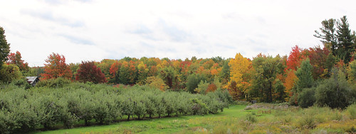 fall coveyhill quebec qc québec canada montérégie monteregie autumn automne field rural