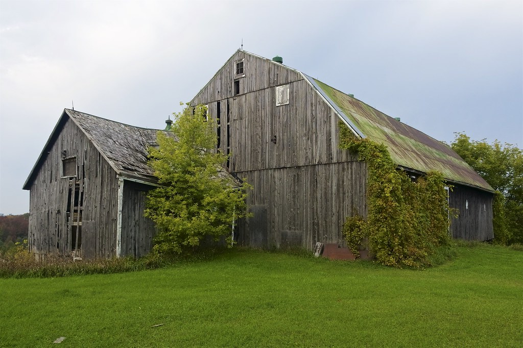 Abandoned barns (2)
