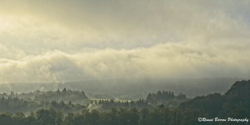 rcb4j ronniebarron sonyilca77m2 on1 on1pics on1photoraw2020 ayrshire scotland minolta minoltamaxxumaf50mmf17 bedroomview art landscape morning mist misty filmgrain