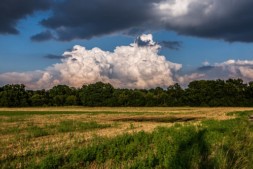 morava olomouc litovelskepomoravi česko czechrepublic czechia summer field agriculture landscape nature cloud clouds cloudy sky skiesabove