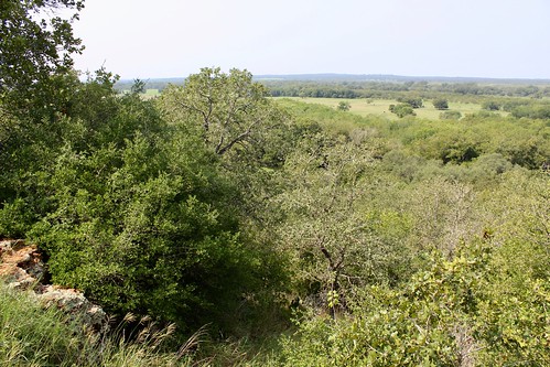 palmetto state park texas overlook view vista