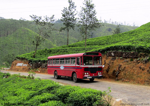 sltb sltbbusblogspotcom bus hillcontry srilanka transport ctb langama hatton ashokleyland viking