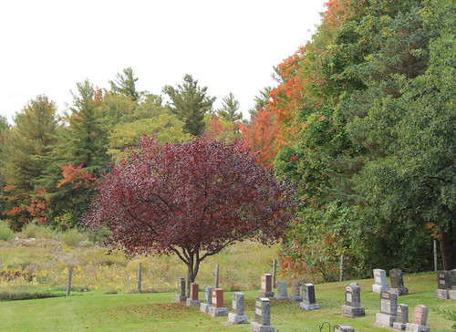 fall coveyhill montérégie monteregie quebec qc québec canada autumn automne cemetery cimetière graveyard