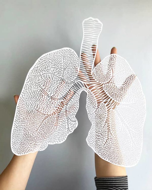 Laser Cut Paper Lungs