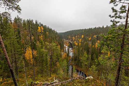 landscape small lake hossa north ostrobothnia finland kuusamo pikkuölkky wideangle autumn fall colors woods forest nature misty fog september canon 5d mkiv