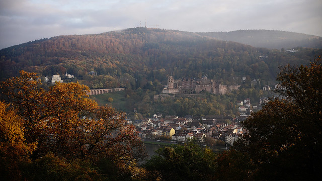late autumn@Heidelberg, Germany 2019