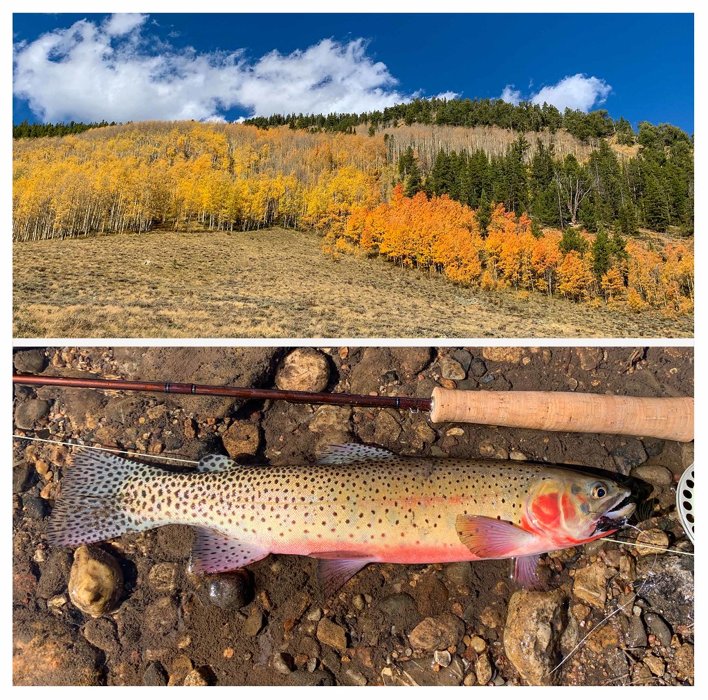 FLAG CREEK