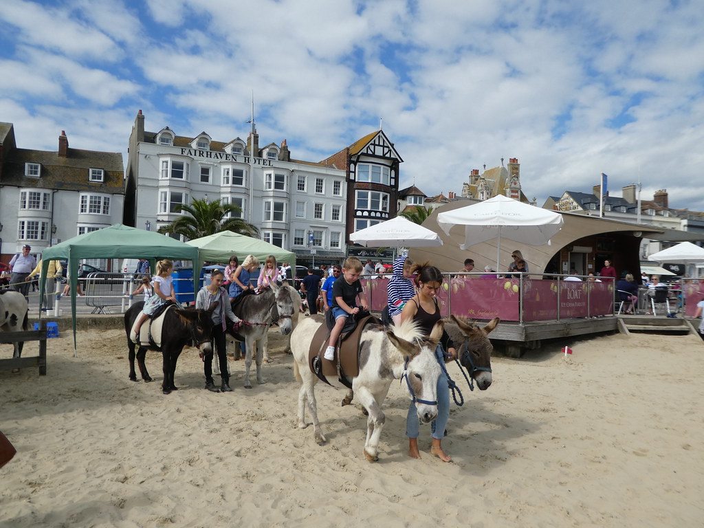 Donkey rides on Weymouth beach