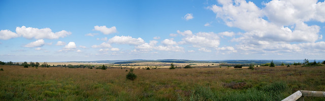 Hochmoor Hohes Venn - Panorama