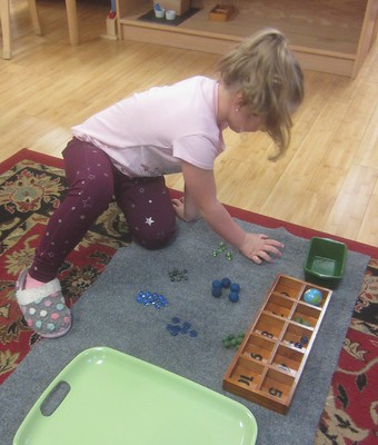 sorting, counting and matching to numeral
