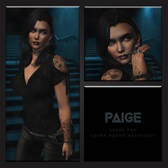 SC Paige Catwa HD MajerSoft