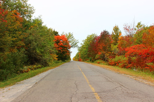 country road fall easterntownships estrie canada cantonsdelest québec quebec qc autumn automne licensed dreamstime