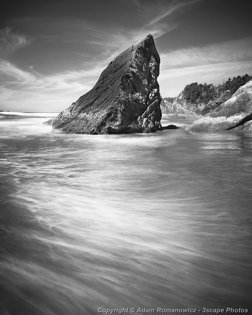 Point Meriwether Black and White