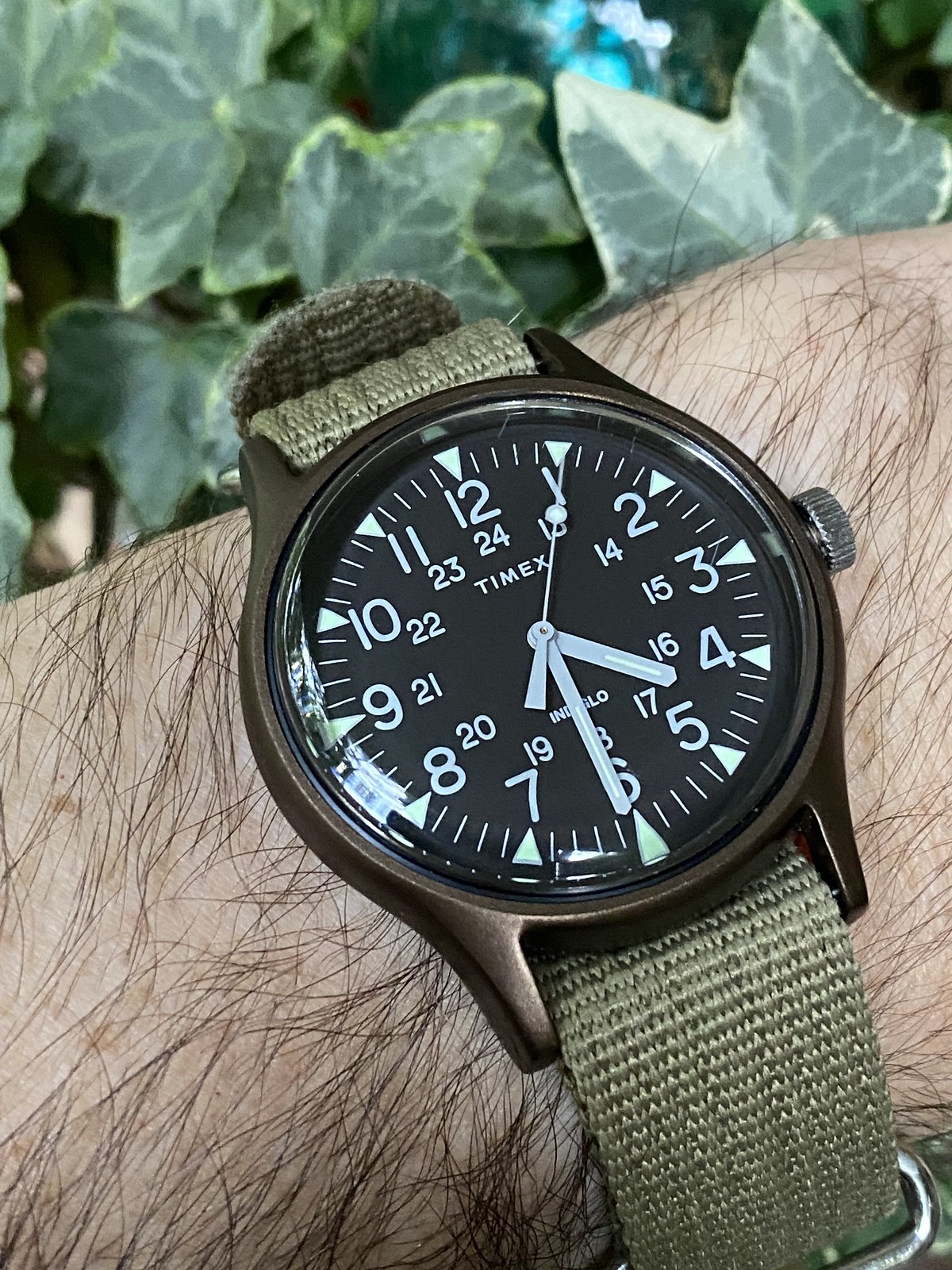 Timex Tuesday (and perhaps Thursday at some point) | Page 131 