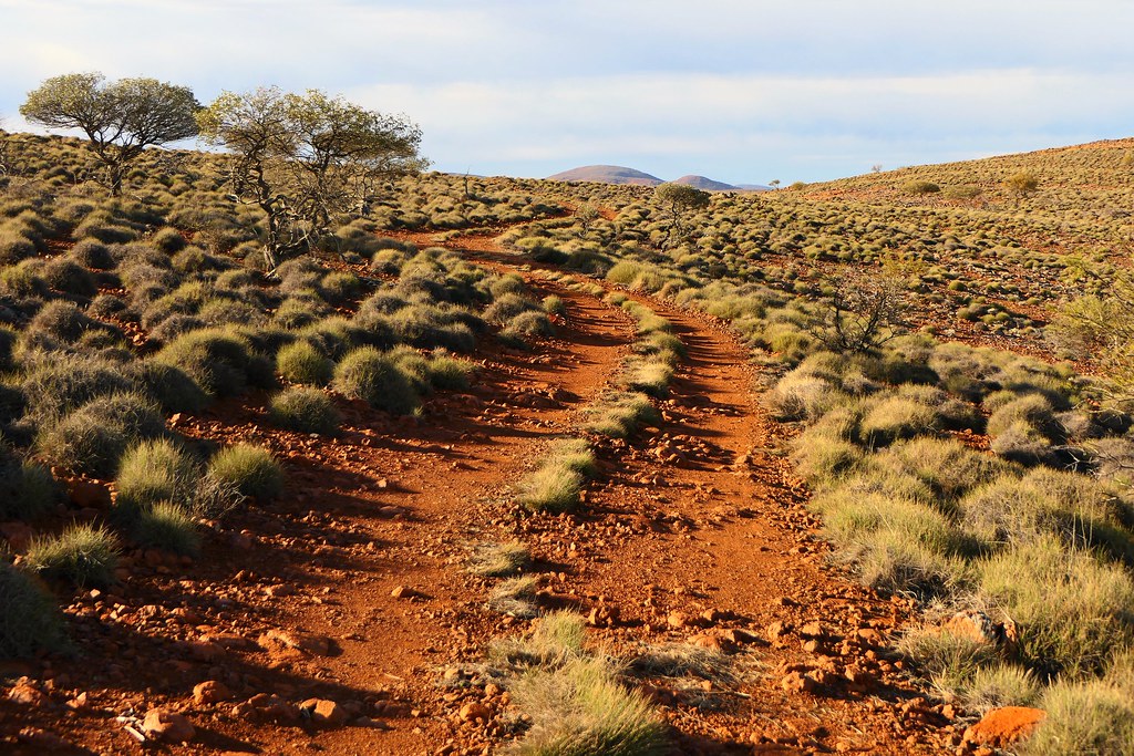 Rocky Road and Scenic Spinifex!