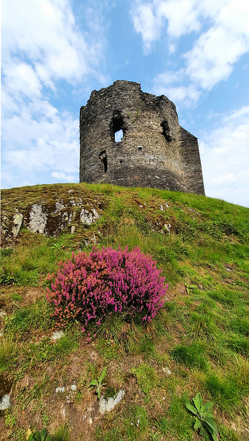 Dolbadarn Castle (33)