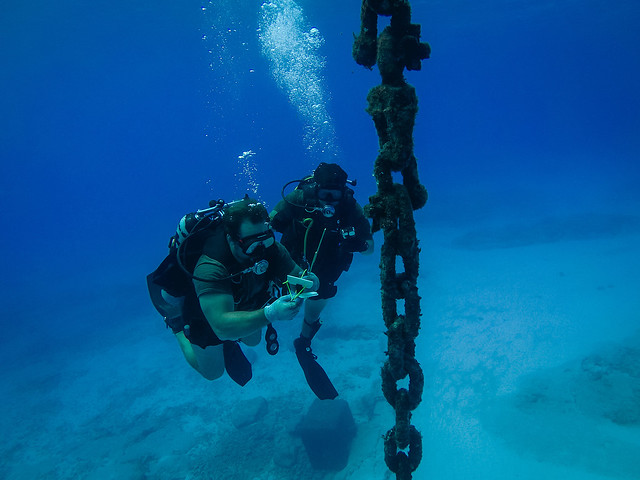 Divers from Underwater Construction Team 2 inspect a buoy within Tinian Harbor during an infrastructure assessment