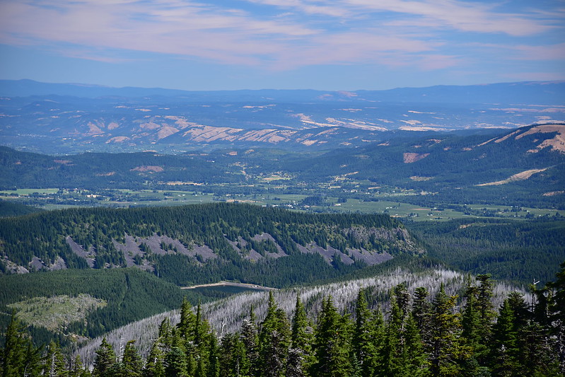View from Timberline Trail