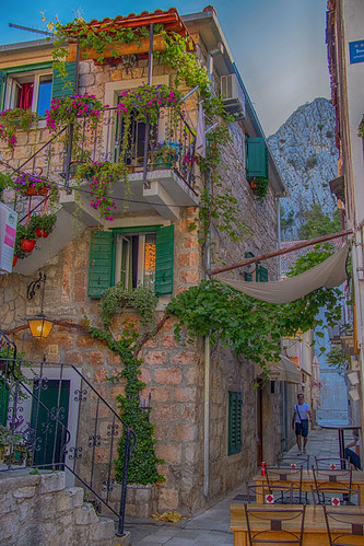 Another summer photo... | by Zrno2009