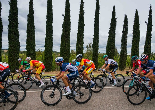2020 world championship race near my home: the winner Julian Alaphilippe in front of a row of cypresses