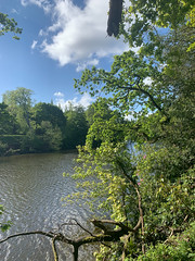 Photo 3 of 5 in the Walk around Lymm Dam (4th May 2019) gallery