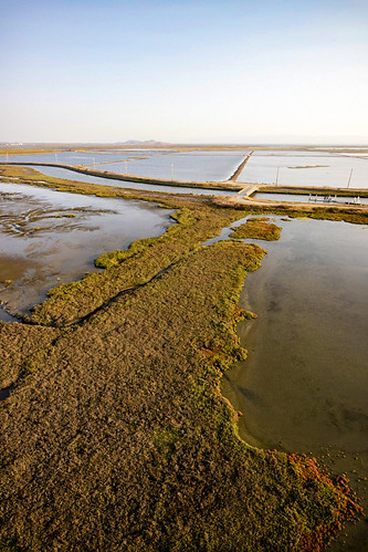Mt. Eden Creek Marsh and Salt Pond E12 by KAP Cris, After a pleasant day photographing Salt Ponds E10 and E11, I stopped on my way out of the Eden Landi