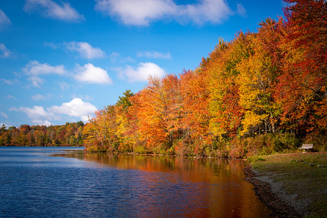 Fall Foliage at Tobyhanna State Park