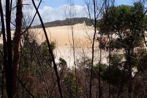 Approaching Cooloola Sandpatch