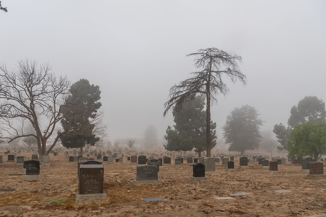 Sunnyside Cemetery on a Foggy Morning