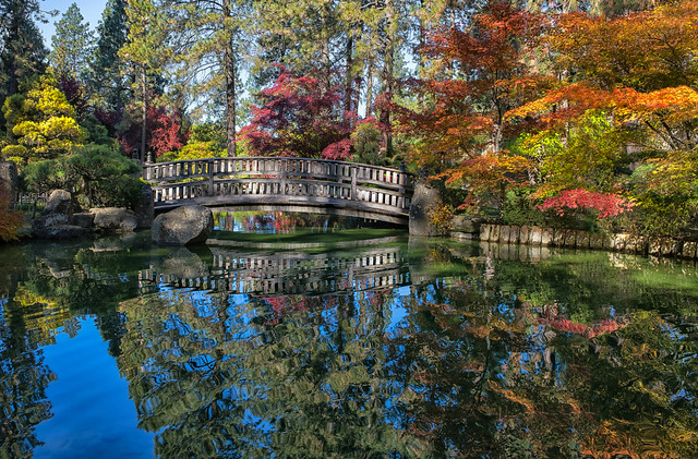 The Bridge at the Japanese Garden