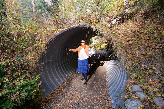 The incredible tunnel-woman!