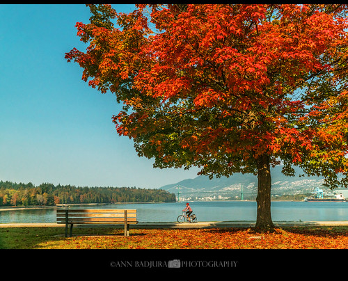 First signs of fall in Vancouver, BC, Canada by Ann Badjura Photography