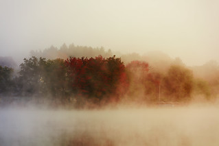 Changing Colors Through The Mist