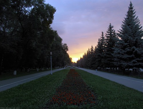summer evening russia novokuznetsk siberia park sky road city