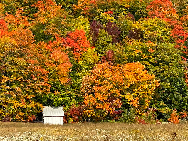 small cabin in autumn