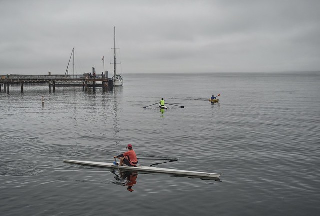 Scullers in the morning marine layer