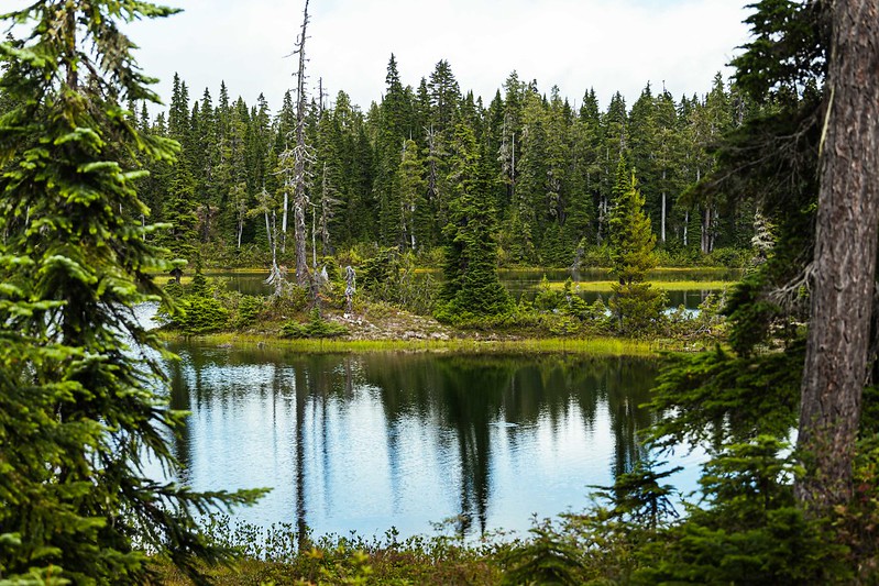 Paradise Meadows - Strathcona Provincial Park