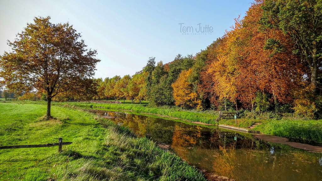 Herfst langs de Berkel, Almen, Netherlands - 1001