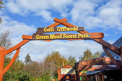 Photo 11 of 11 in the Zip World Snowdonia & GreenWood Forest Park (14th Oct 2014) gallery