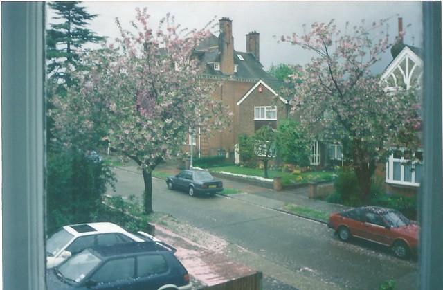 View from my bedroom window in spring of 1991