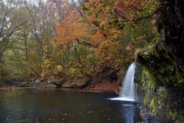 Wolf Creek Falls, Autumn #2, 2020