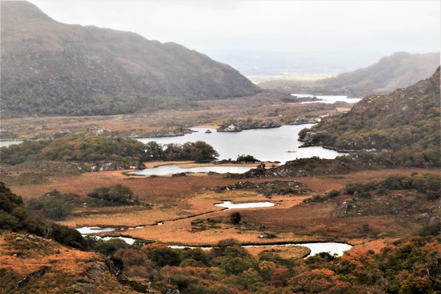 Ireland, Co. Kerry - Upper Lake seen from Ladies View on the Ring of Kerry.